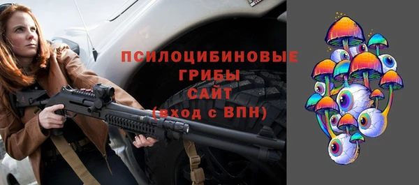 ГАЛЛЮЦИНОГЕННЫЕ ГРИБЫ Аркадак