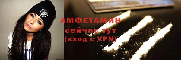 ГАЛЛЮЦИНОГЕННЫЕ ГРИБЫ Аркадак