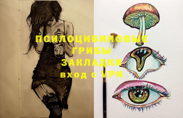 амфетамин Няндома