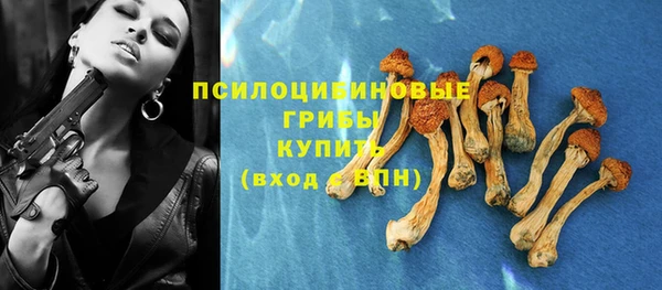 спайс Армянск