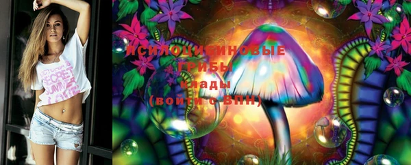 стафф Баксан