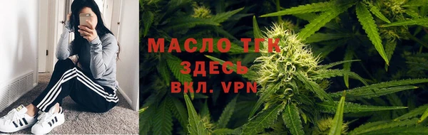 ГАЛЛЮЦИНОГЕННЫЕ ГРИБЫ Аркадак
