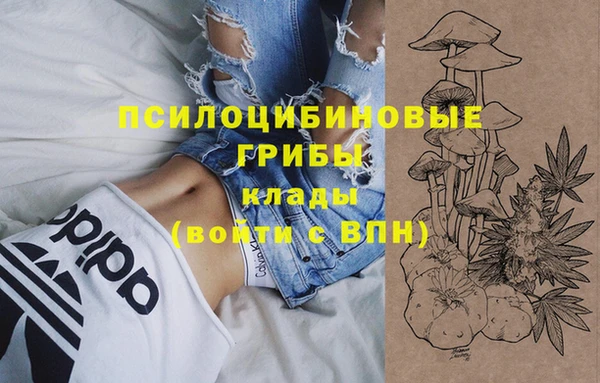 амфетамин Няндома
