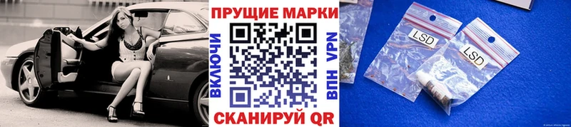 где купить   Суджа  Наркотические марки 1500мкг 