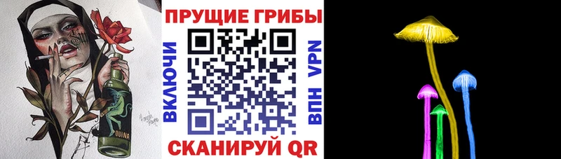 Галлюциногенные грибы GOLDEN TEACHER  Суджа 